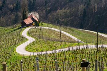 Straat in de vorm van een hartje Maribor