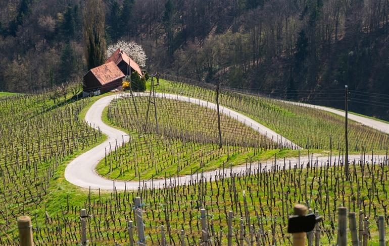 Straat in de vorm van een hartje Maribor