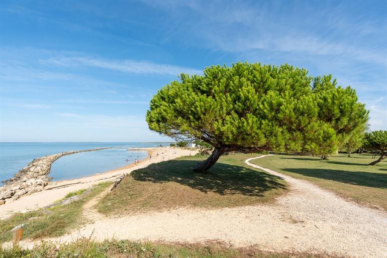 Strand bij Port des Barques, Charente-Maritime