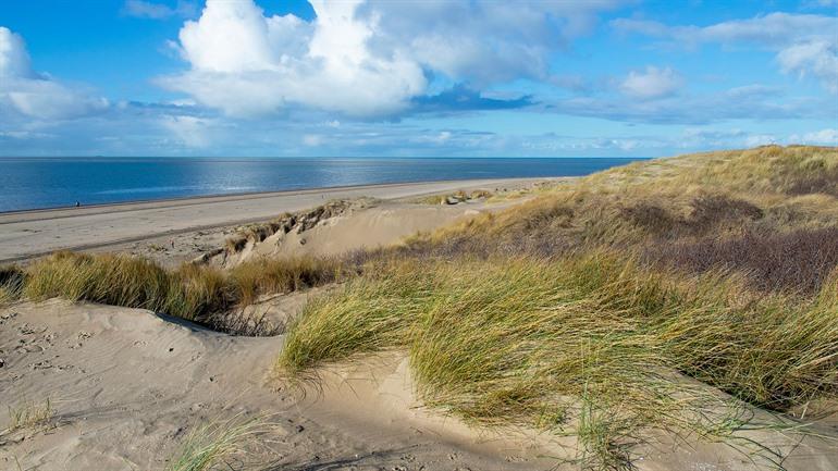 Strand en duinen van Rockanje, Zuid-Holland