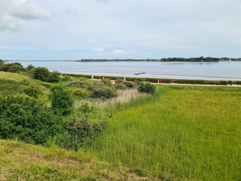 Strandje van het Veerse Meer
