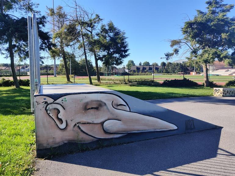 Street-art werk van Bisser in het skatepark van Kessel-Lo