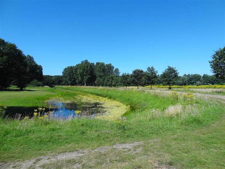 Stropersbos in Stekene, Waasland