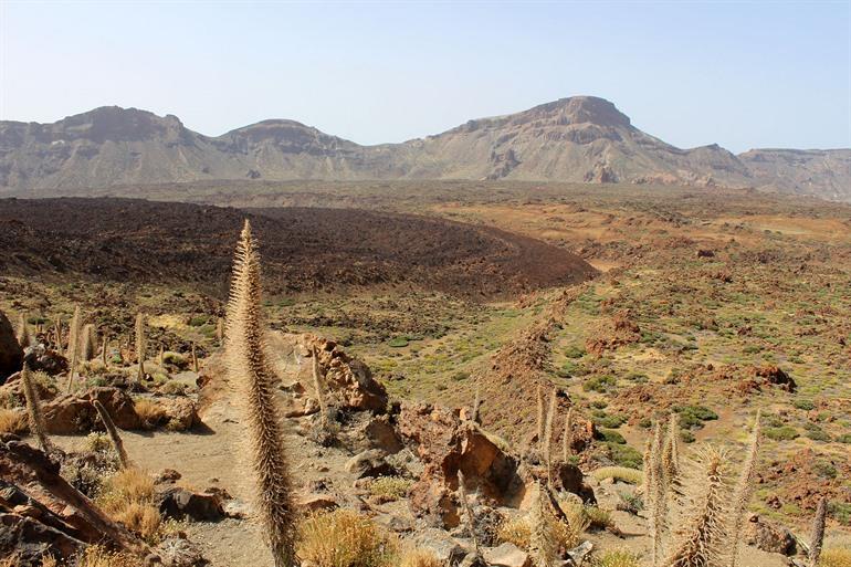 Tabonal Negro op Tenerife bezoeken