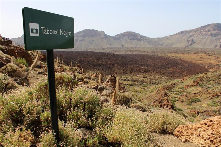 Tabonal Negro, Tenerife