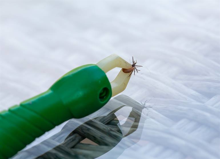 Tekentang: Hoe teken verwijderen