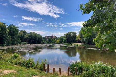 Ten Reuken park, Woluwevallei