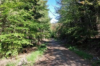 Ternell-wandeling Oostkantons