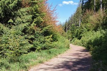 Ternell-wandeling Oostkantons