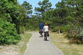 Texel fietsen in De Dennen