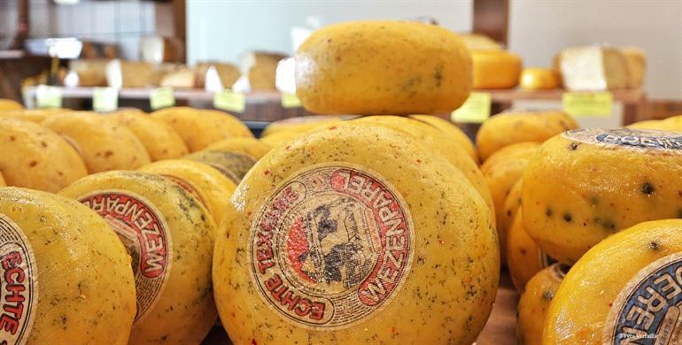 Texel - Kaasdegustatie