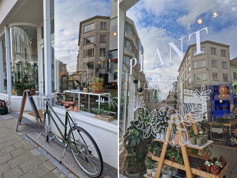 The Plant Corner in Antwerpen