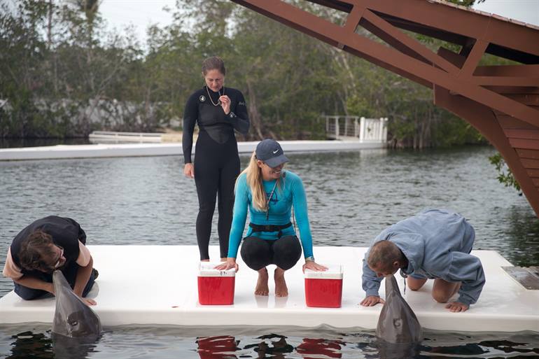 Theater of the Sea Key Largo