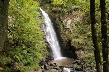 Todtnau watervallen, Zwarte Woud