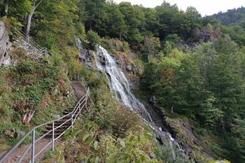 Todtnau watervallen, Zwarte Woud