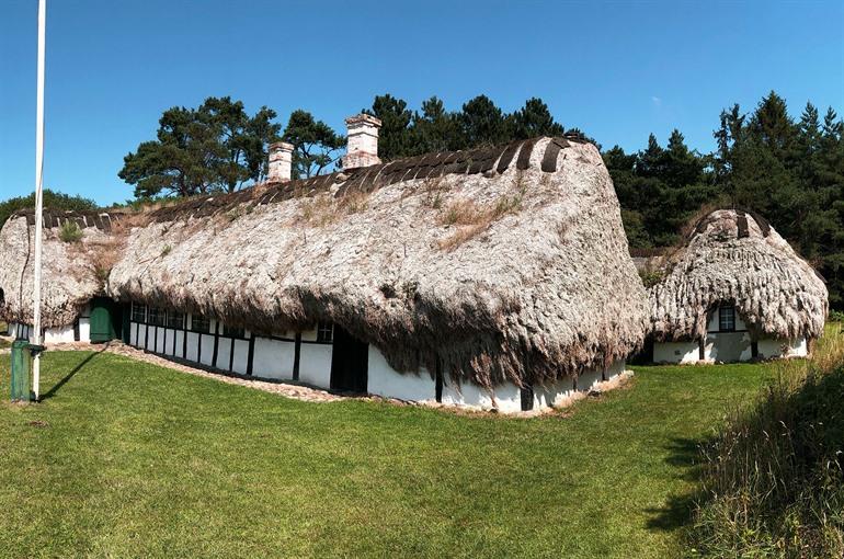 Traditionele zeegrasdaken op het Deense eiland Læsø, Denemarken