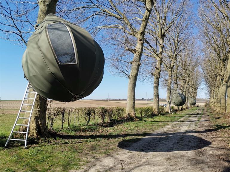 Tranendreef in Borgloon, Limburg