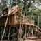 Tree Houses van Warredal boeken