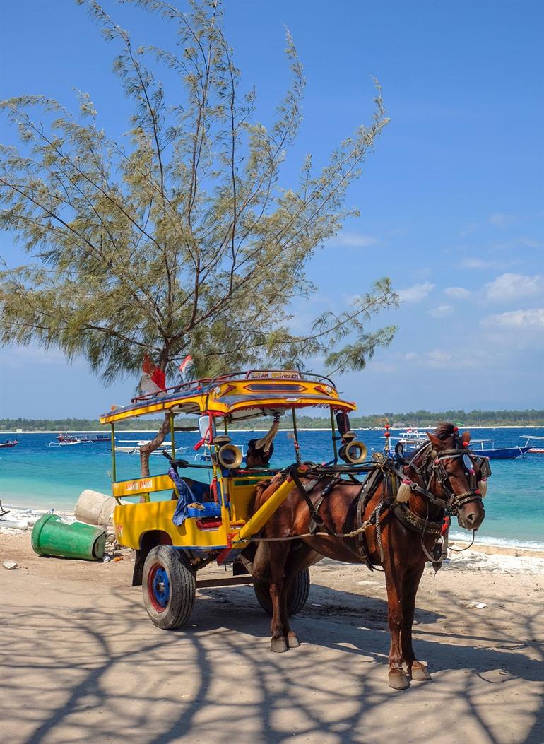 Trek de Gili-eilanden rond met paard-en-kar
