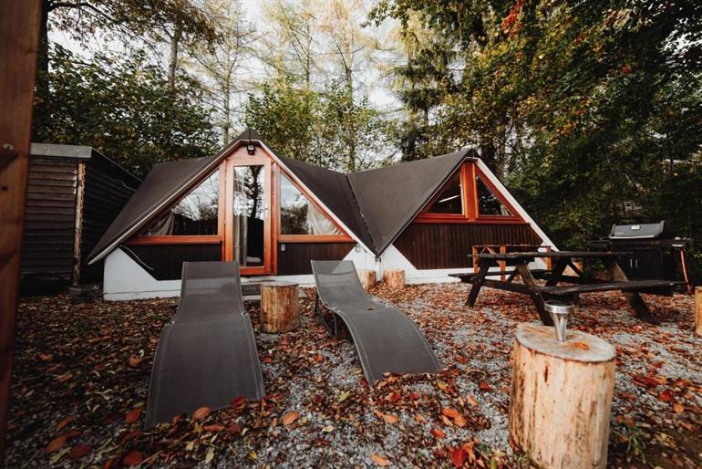 Tropical In The Woods boeken