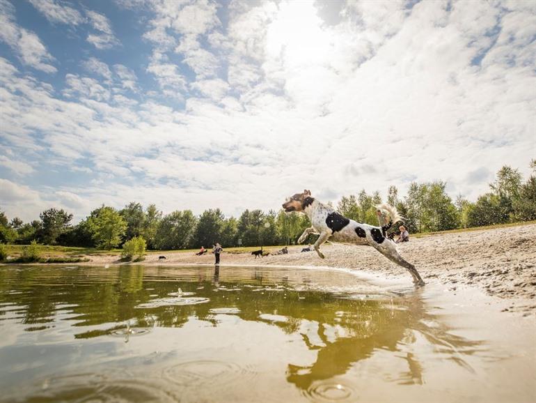 Twenhaarsveld, Holten in Overijssel boeken
