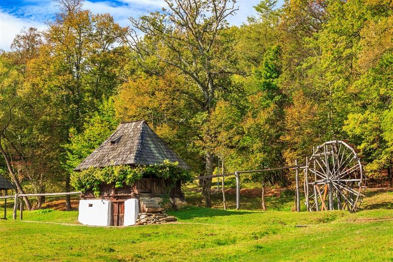 Typisch huisje in Complexul Naţional Muzeal ASTRA in Roemenië 