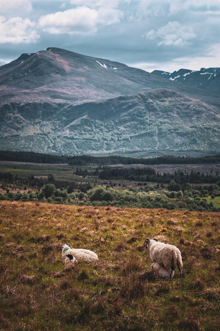 Uitzicht op de Ben Nevis, hoogste berg van het Verenigd Koninkrijk