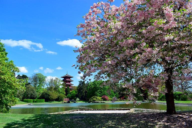 Uitzicht op de Japanse Toren in de Koninklijke Tuinen