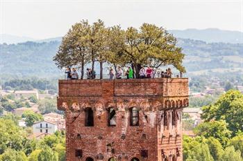 Uitzicht op de Torre Guinigi, Lucca