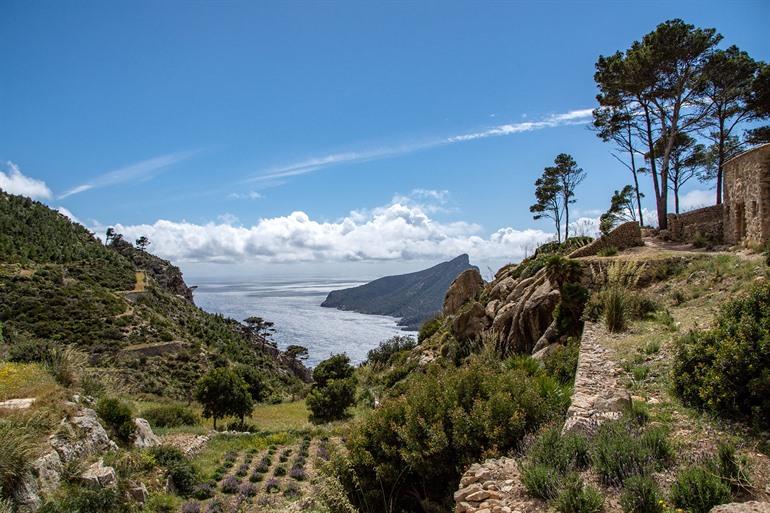 Uitzicht op het eiland Sa Dragonera vanaf de ruïnes van La Trapa