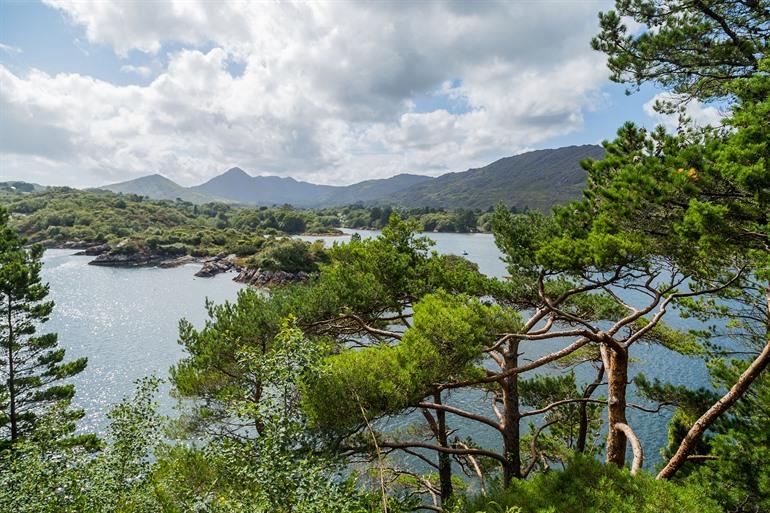 Uitzicht op het Natuurreservaat Glengarriff, Ierland