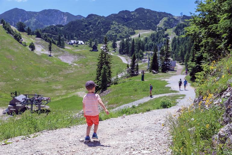 Uitzicht op Vogel Ski Resort in de zomer, Slovenië