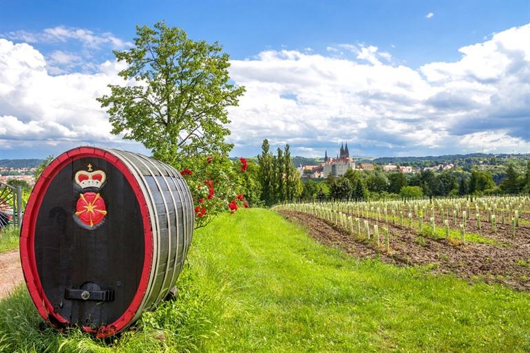 Uitzicht over Albrechtsburg in Meissen vanaf de wijngaarden
