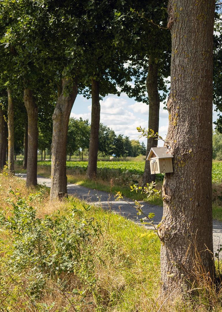 Uitzicht over de Maaigemdijk langs de oevers van de Oude Leie