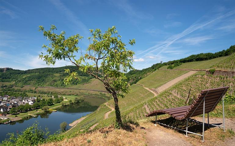 Uitzicht over de Moezel vanaf Pünderich, Moezel