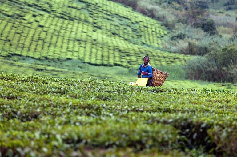 Uitzicht over Fort Portal