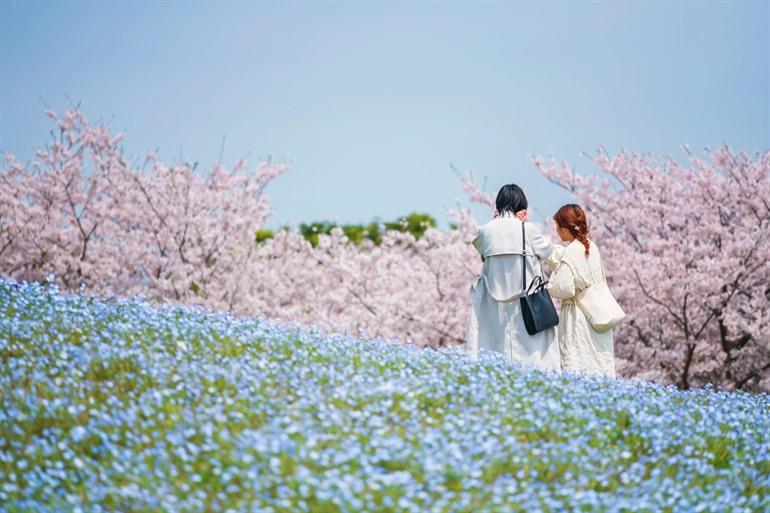 Uminonakamichi Seaside Park