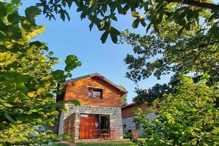Vakantiehuisje boeken middenin de natuur 