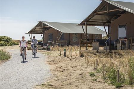 Waar bijzonder overnachten op Texel? 11 x van goedkoop tot luxe (2025)