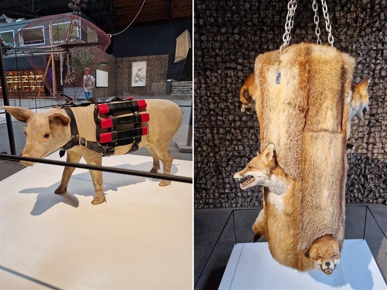 Verbeke Foundation in Kemzeke