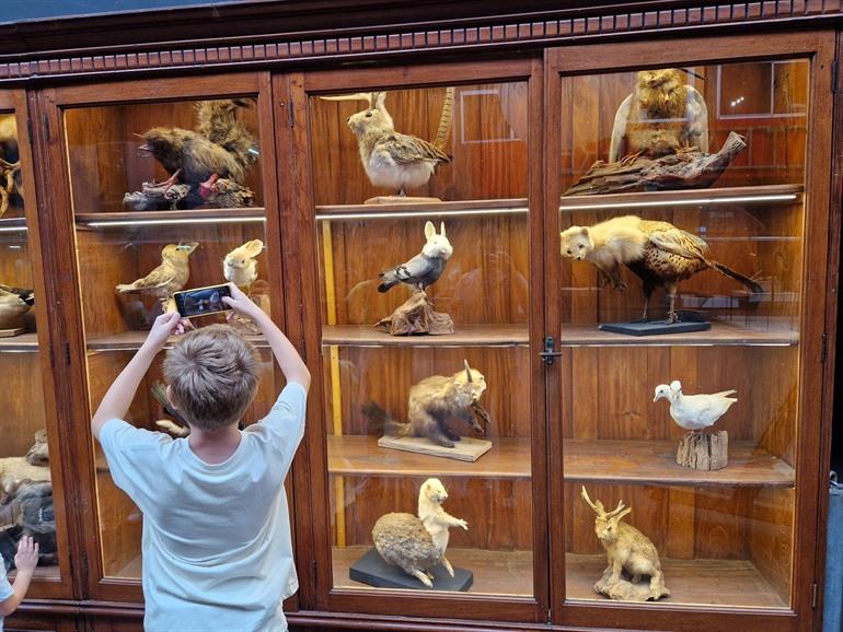 Verbeke Foundation in Kemzeke