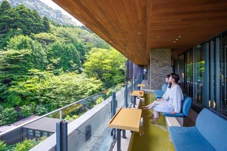 Verblijf in Hakone Kowakien Tenyu