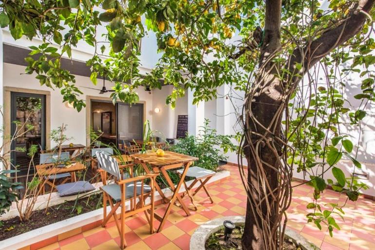 Verblijf in het knusse Lemon Tree Stay