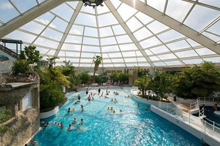 Verken het subtropisch zwembad in Center Parcs De Haan