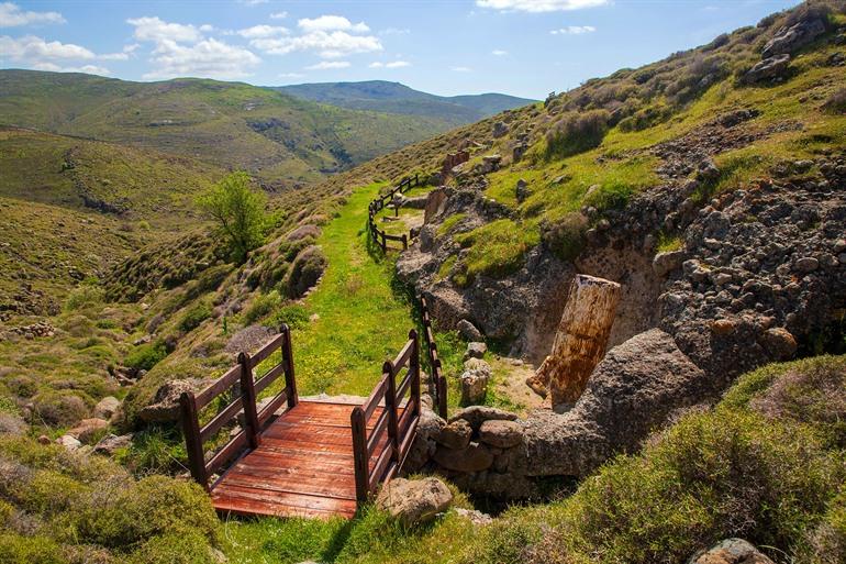 Versteend woud van Lesbos, Sigri