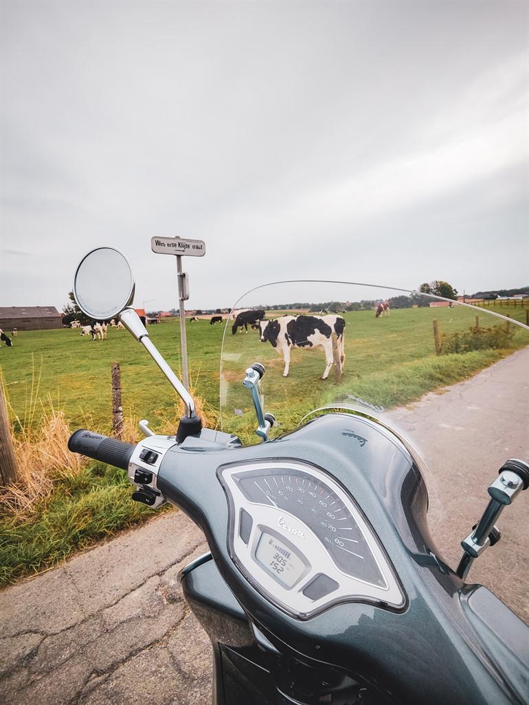 Vespa Ride Poperinge