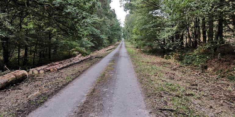 Via Thiérache - Dag 3 - Woud van de abdij