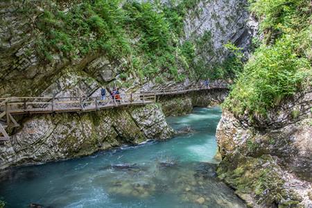 Bezoek de prachtige Vintgar kloof in Slovenië: alle info, tips + tours