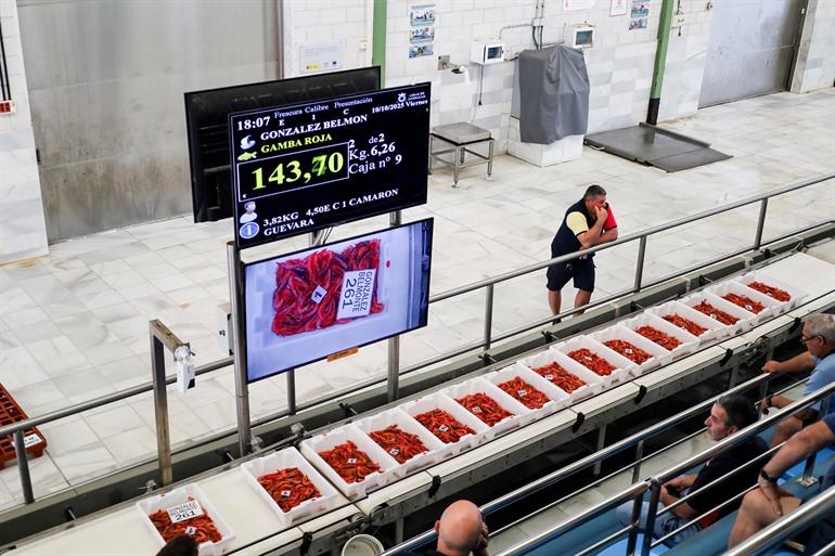 Visveiling bijwonen in Garrucha