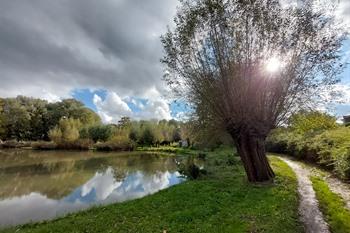 Visvijvers bij het Wivinapark, Pajottenland